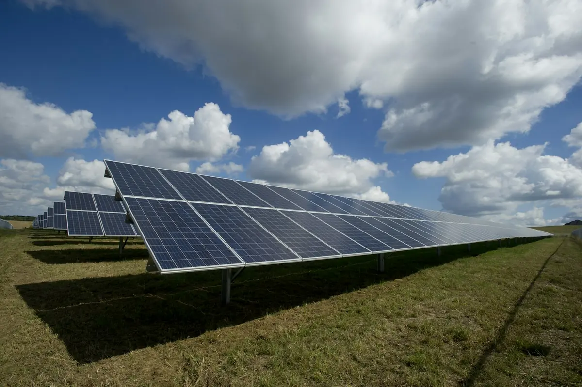 Rows of solar panels in warm evening light.