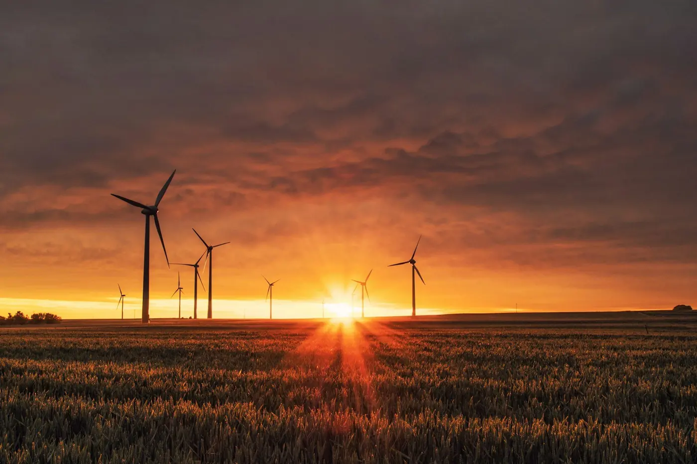 Wind turbines standing in a green field.